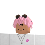 @MrDevJake