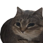 shockmagicdavid's avatar