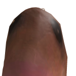 @IAmSomeRobloxPlayer