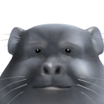 @ExplodingCat17
