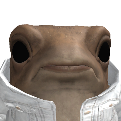 Roblox avatar