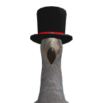@CrowTheBlackCat415