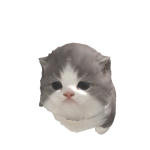 @cjw20145