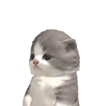 @jeff3448