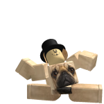 @pugcity245