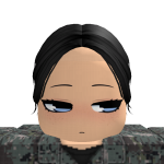 @Robloxian213477613