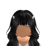 @Noatr3