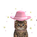 @diorg1rl
