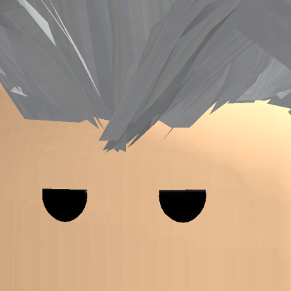 Roblox profile picture for @nopspy