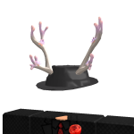 @ct9c
