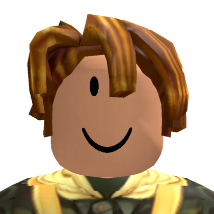 Roblox profile picture for @ToanT6789