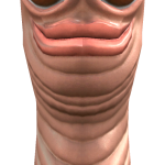 @Mylesman1321