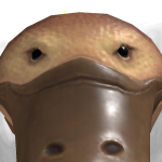 @Oofkidcoolboy9