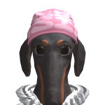@dinojas