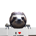 @Elezvq