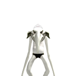 isa