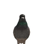 @re_cognize