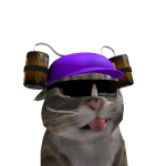 Below Roblox avatar