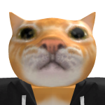 @robloxhelper391