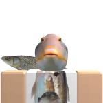 @Ead21Ad