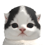 @ColonelHrince