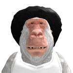 @yktv_ahaharon