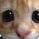 @spo0kx