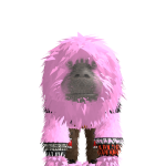 @luvqire
