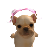 @Presley22dec