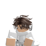 @robloxianplayers1234