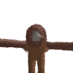 @baaaarrrrrr00
