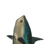 @turtle_gamer20000