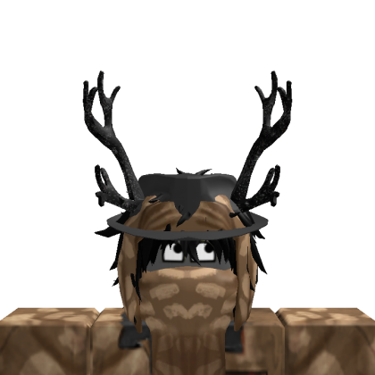 Roblox profile picture for @been