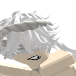 @5raku