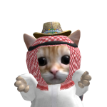 @ali6275