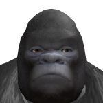 @cheeseyheadd