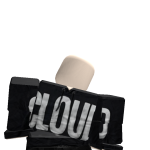 @ripfoolio1