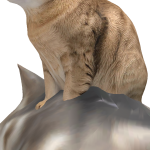 @Hugecat_playz