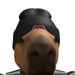 @noobfake9089