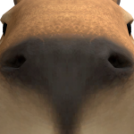 isaiasfcpro