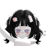 @puwiaholder