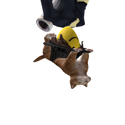 Icedemized