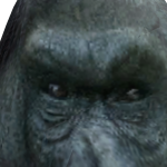 @NotJaykey