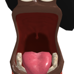 @jaydenmonkeythe