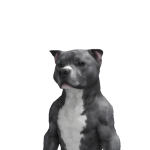 @coolgamer29047