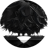 Saon