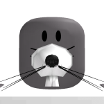 @MouseWithoutAHat