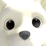@JustArcticFox