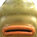 r0b0tn00bking