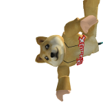 @sasawithchicken